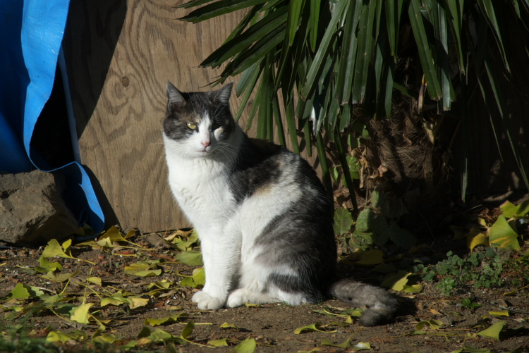 IMGP7816.jpg