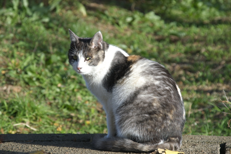 IMGP7839.jpg
