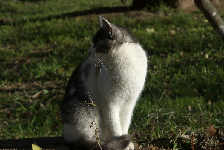 IMGP7841.jpg