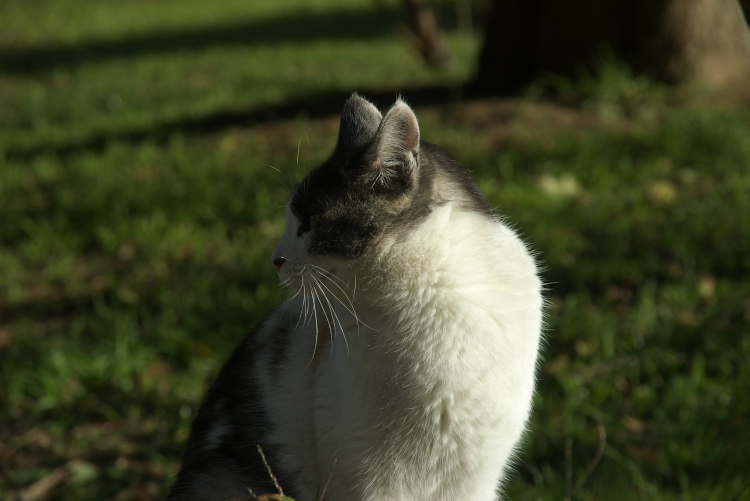 IMGP7842.jpg