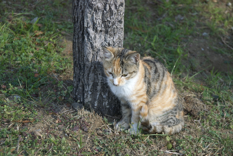 IMGP7870.jpg