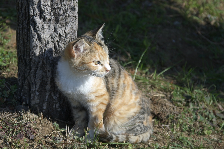 IMGP7878.jpg