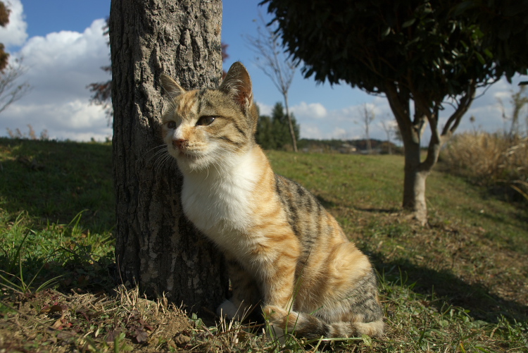 IMGP7885.jpg
