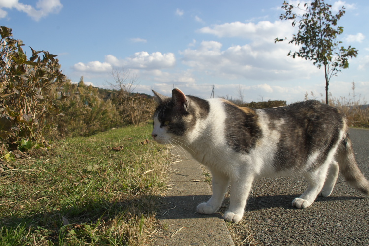 IMGP7913.jpg