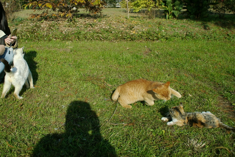 IMGP7930.jpg