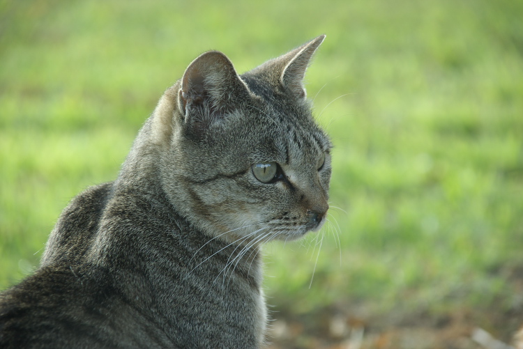IMGP7937.jpg