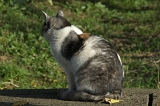 IMGP7840