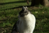 IMGP7842