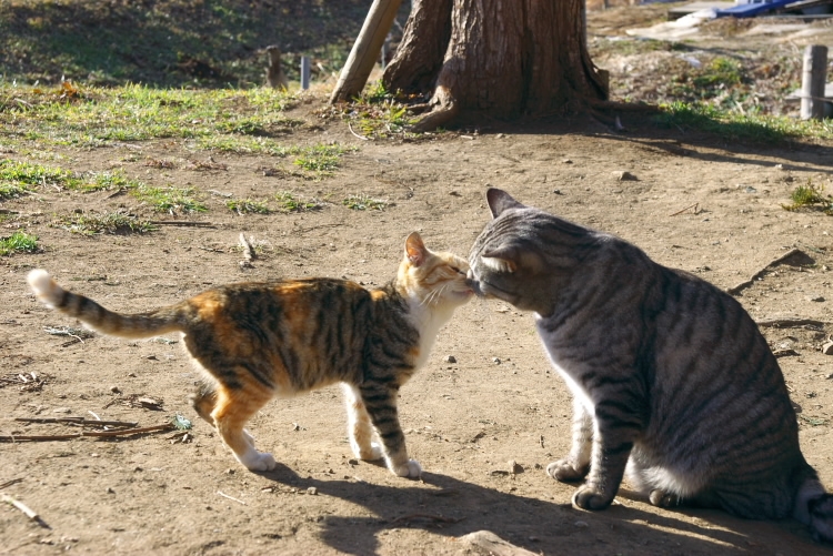 IMGP8013.jpg