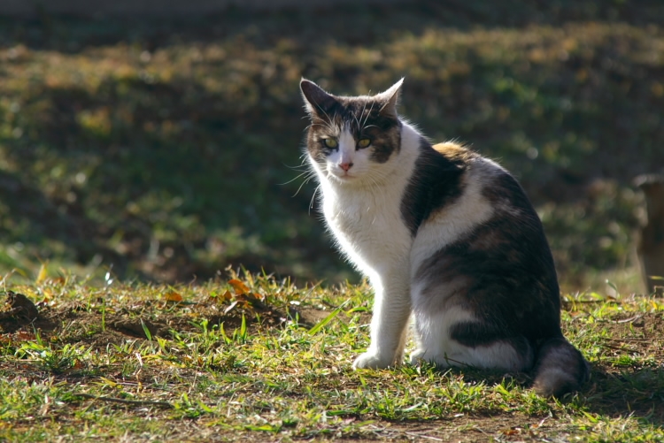 IMGP8018.jpg