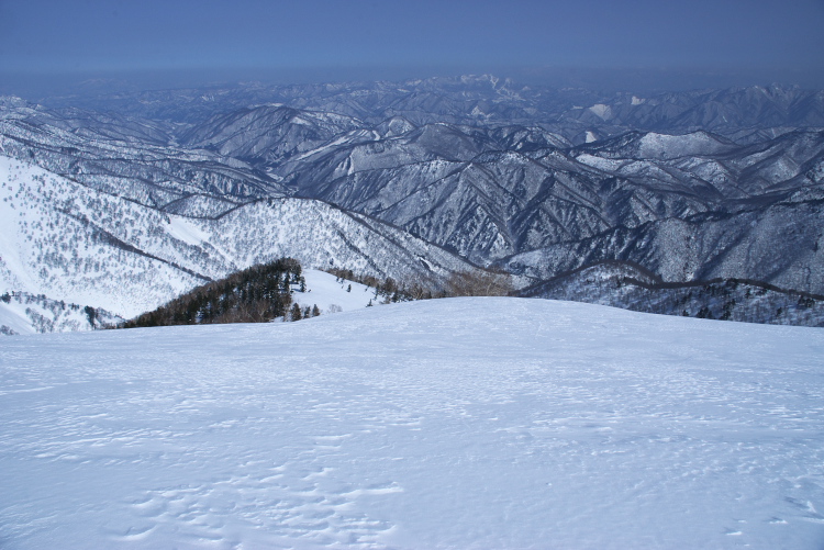 IMGP8092.jpg