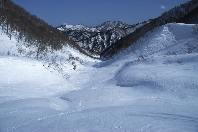 IMGP8118.jpg