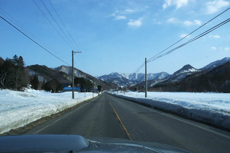 IMGP8130.jpg