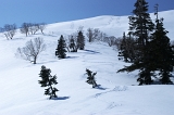 IMGP8094