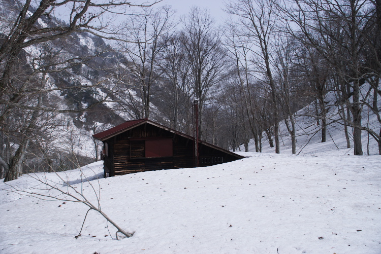 IMGP8341.jpg