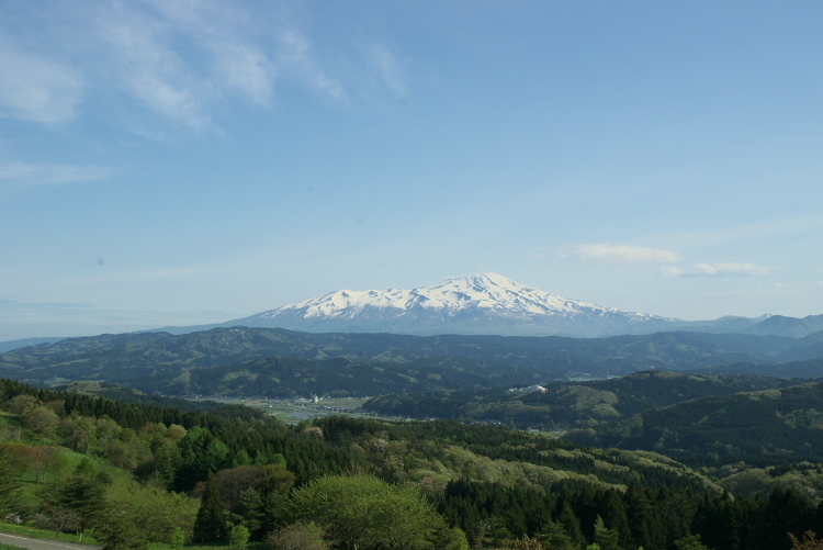 IMGP8458.jpg