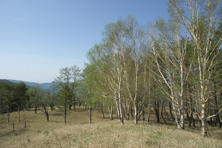 IMGP8502.jpg