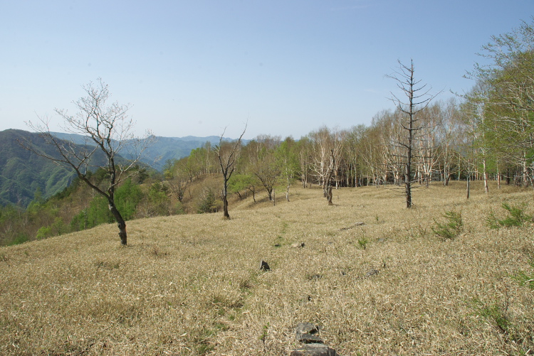 IMGP8511.jpg