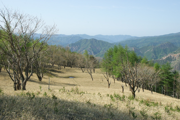 IMGP8517.jpg
