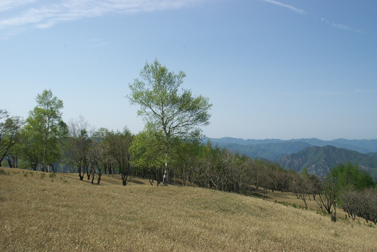 IMGP8518.jpg