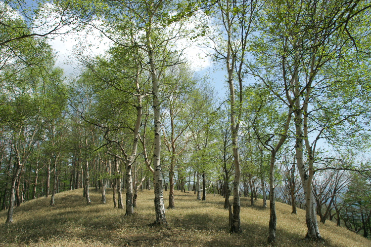 IMGP8539.jpg