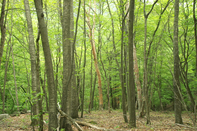 IMGP8558.jpg