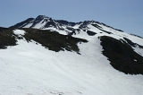 IMGP8442