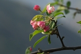 IMGP8471