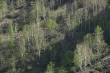 IMGP8486