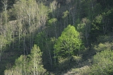 IMGP8487