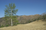 IMGP8514