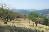 IMGP8517