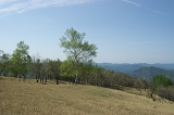 IMGP8518