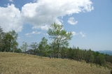 IMGP8541