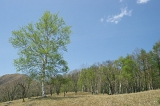 IMGP8542