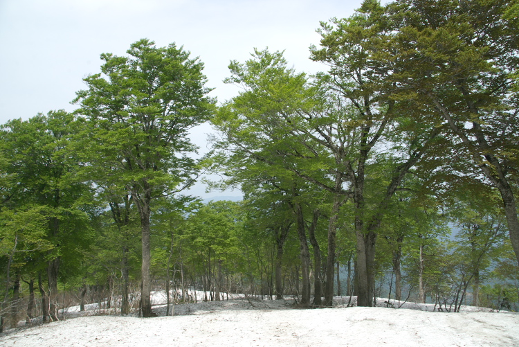 IMGP8648.jpg