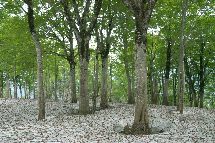 IMGP8667.jpg