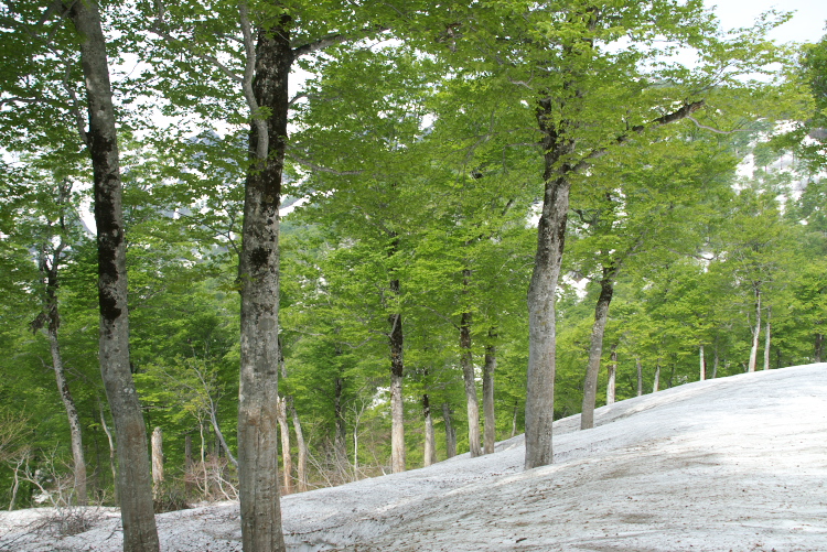 IMGP8681.jpg