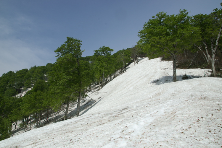 IMGP8686.jpg
