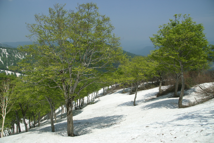IMGP8712.jpg