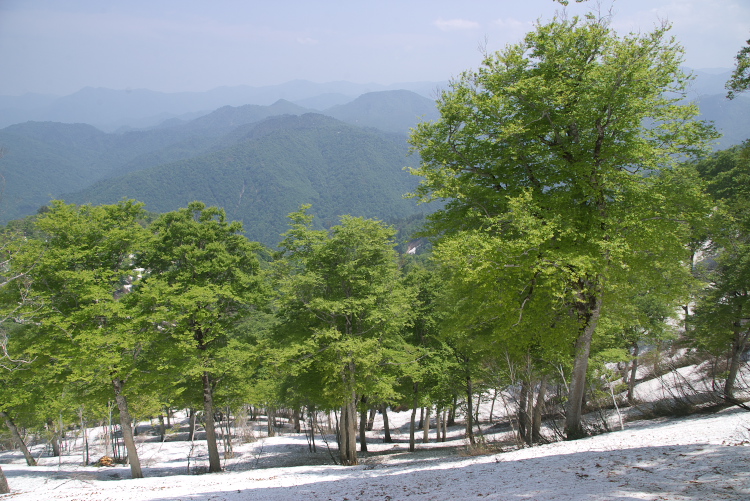 IMGP8716.jpg