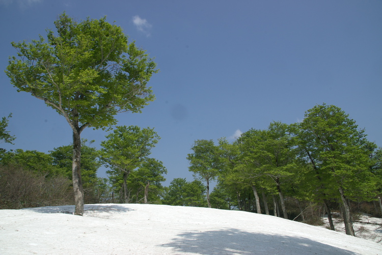 IMGP8727.jpg