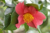 IMGP8578