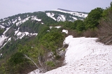 IMGP8594