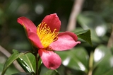 IMGP8605