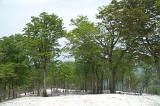 IMGP8648