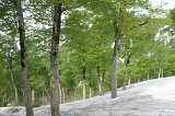 IMGP8681