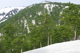 IMGP8682