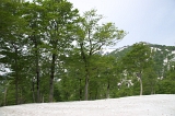 IMGP8683