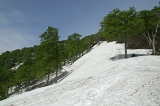IMGP8686